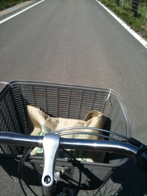 カゴにはエコバック